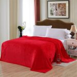 blanket Double-Sided Flannel Throw Blanket