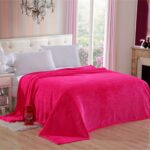 blanket Double-Sided Flannel Throw Blanket