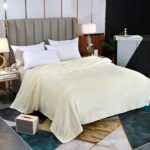 blanket Double-Sided Flannel Throw Blanket